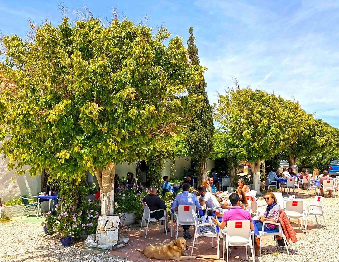 Отель Hospederia Restaurante Tarin Лос-Каньос-де-Мека Экстерьер фото