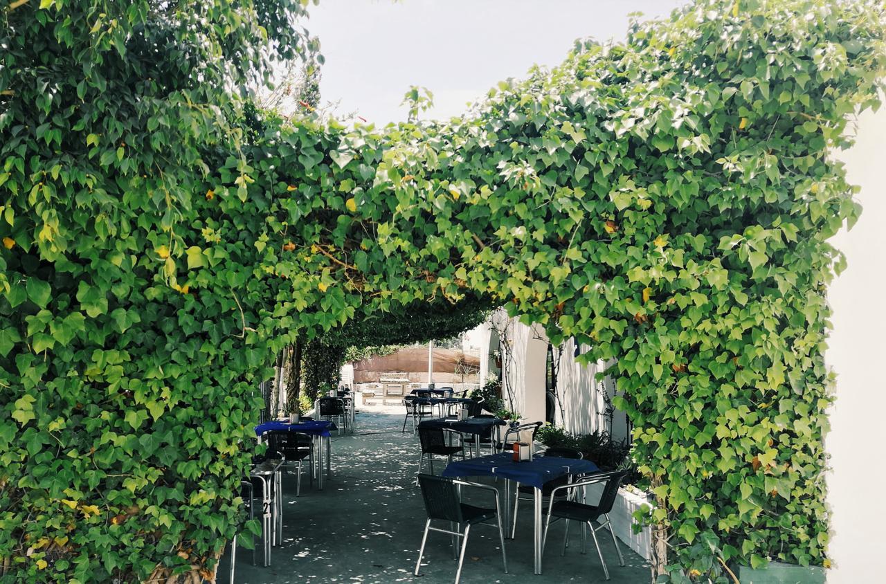 Отель Hospederia Restaurante Tarin Лос-Каньос-де-Мека Экстерьер фото
